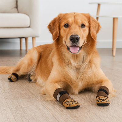 Chaussette pour chien