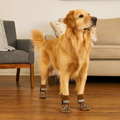 Chaussette pour chien