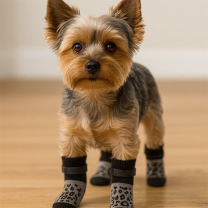 Chaussette pour chien