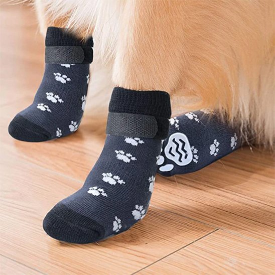 Chaussettes pour chien