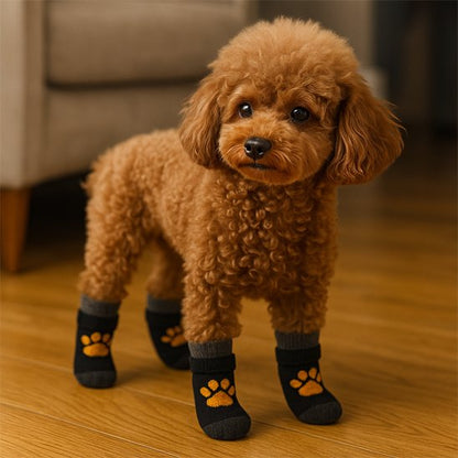 Chaussettes pour chien