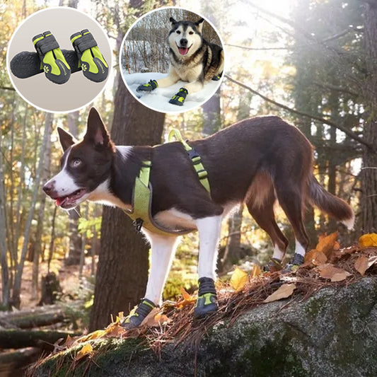 Chaussure chien- Lumi-pluie