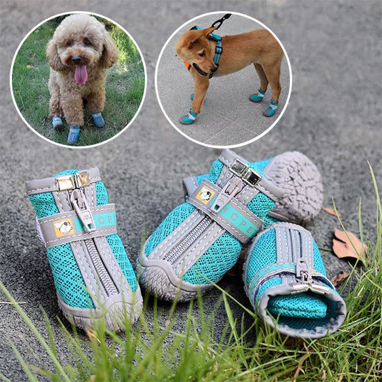 chaussure-chien-taille