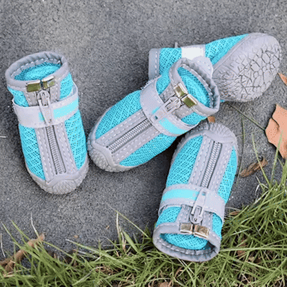 Des Chaussure chien- HavenfLy Dog