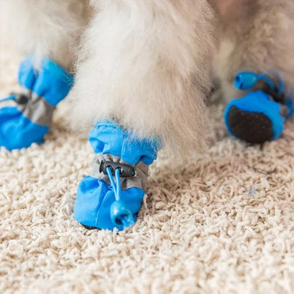 Chaussures chien​