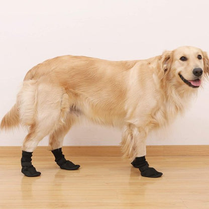 Chaussures chien 