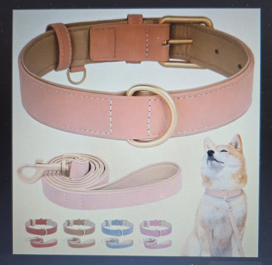 Collier chien cuir - Cuir robuste - Le Chihuahua Voyageur