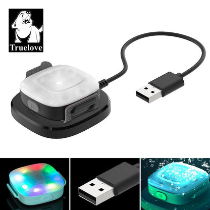 Collier chien lumineux - Truelove Safety LED Light - Le Chihuahua Voyageur