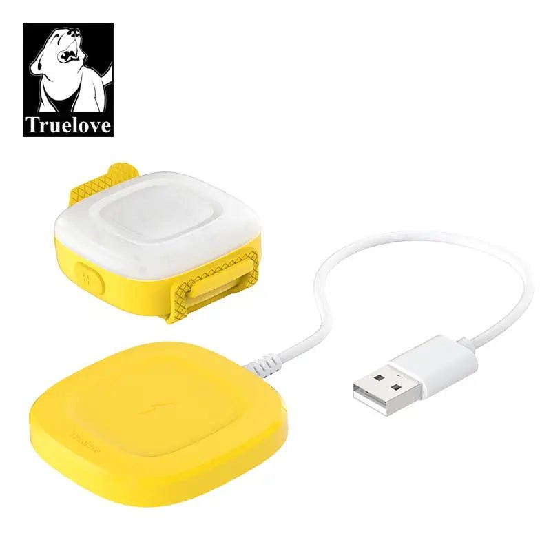 Collier chien lumineux - Truelove Safety LED Light - Le Chihuahua Voyageur