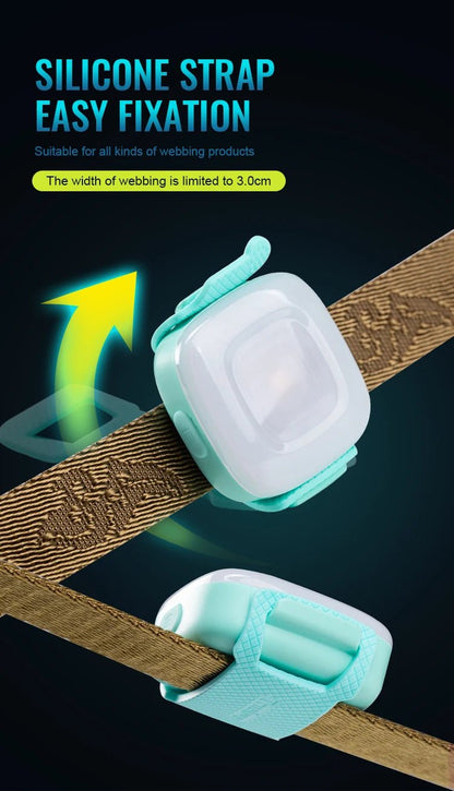 Collier chien lumineux - Truelove Safety LED Light - Le Chihuahua Voyageur