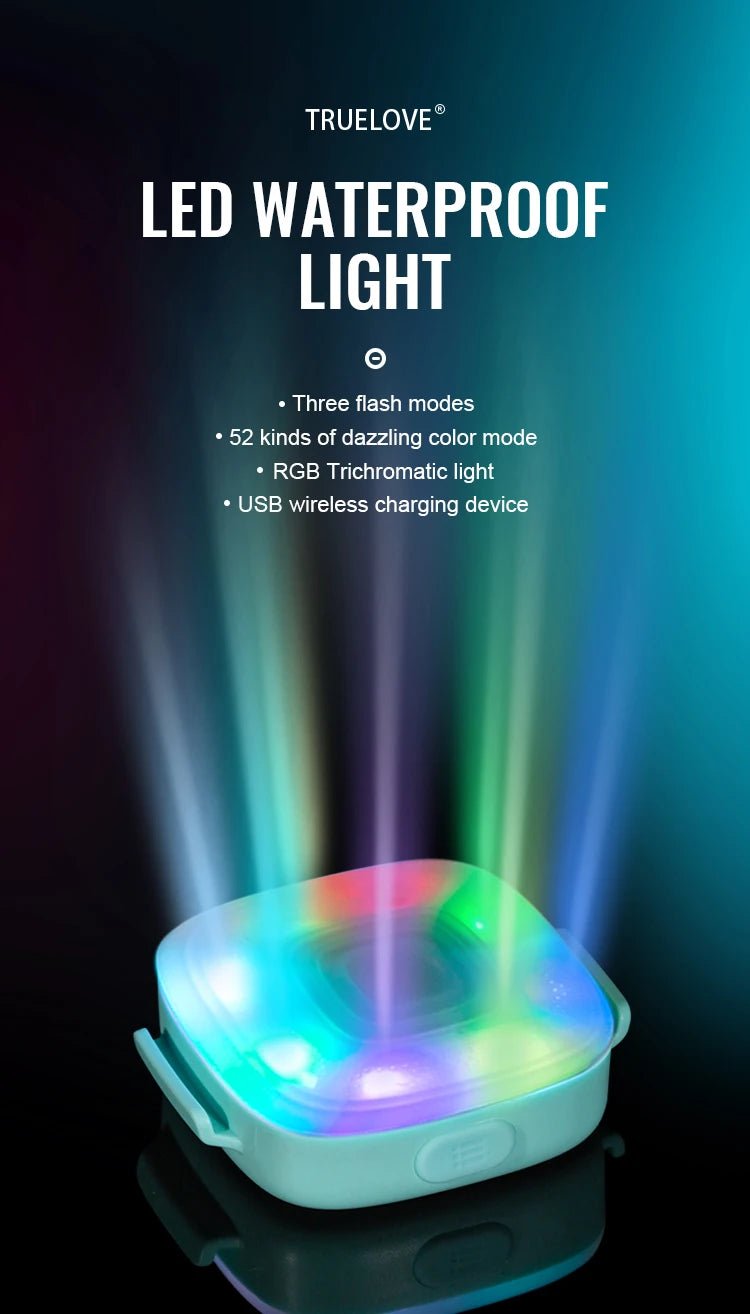 Collier chien lumineux - Truelove Safety LED Light - Le Chihuahua Voyageur