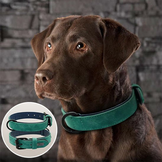 collier chien - respirant - Le Chihuahua Voyageur