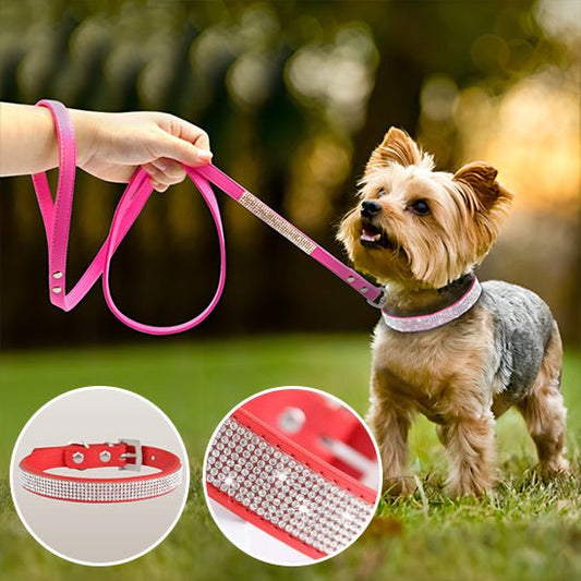 collier chien - strass - Le Chihuahua Voyageur