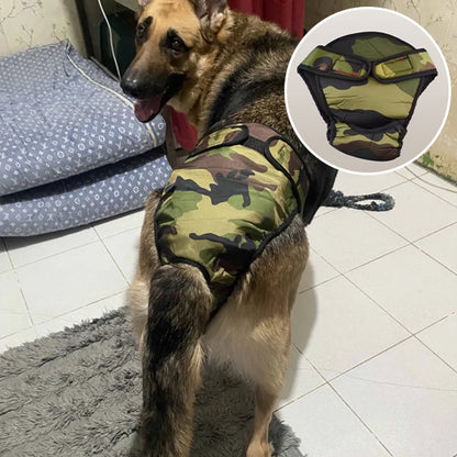 couche-pour-chien-dog-incontinence