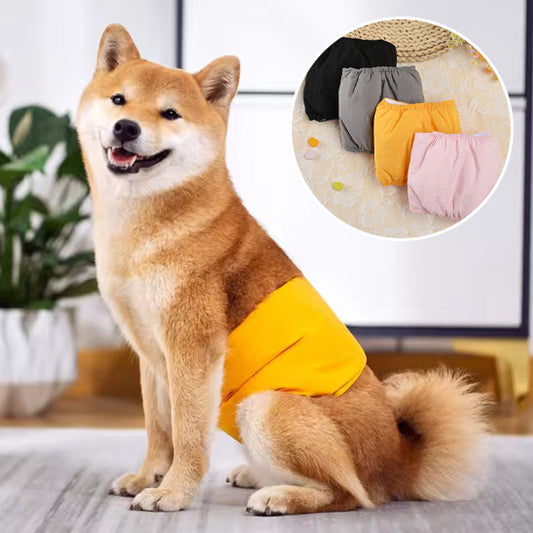 Couches chiens-bandeaux urine