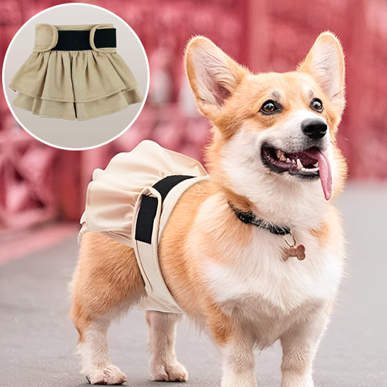 couches-chiens-robe-ajustable
