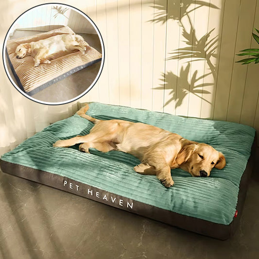 coussin-chien-pet-haven