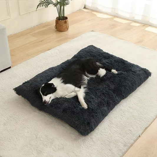Coussin pour chien - Tapis douillet - Le Chihuahua Voyageur