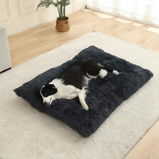 Coussin pour chien- Tapis douillet