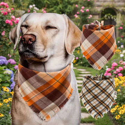 Bandana chien | Écossais