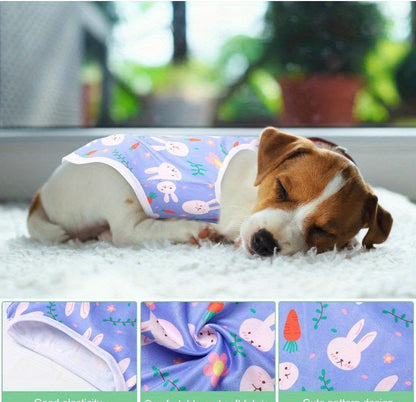 Pull pour chien | Cozy Pets 25 unités