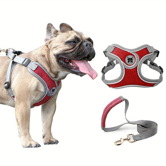 Laisse de chien- Bulldog Laisse- Harnais pour chien