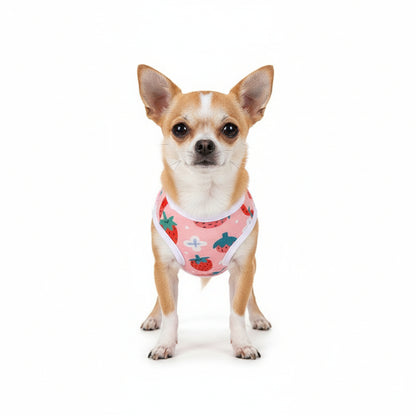 Pull pour chien | Cozy Pets 25 unités