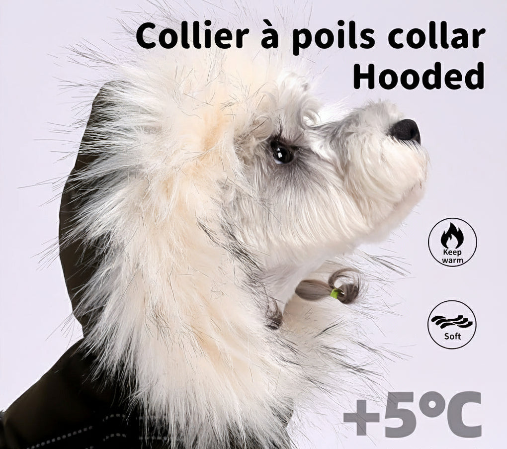 Manteau pour chien | Technologie Graphene