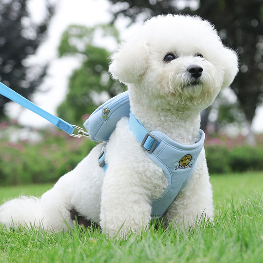 Laisse pour chien - Football in Space