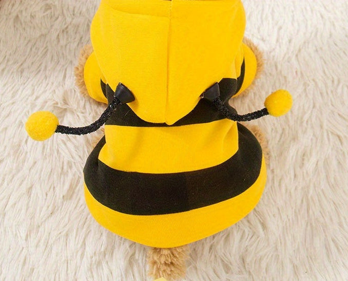 Pull chien | Bee Cozy