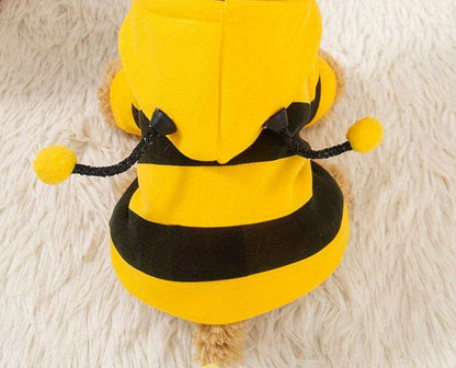 Pull chien | Bee Cozy