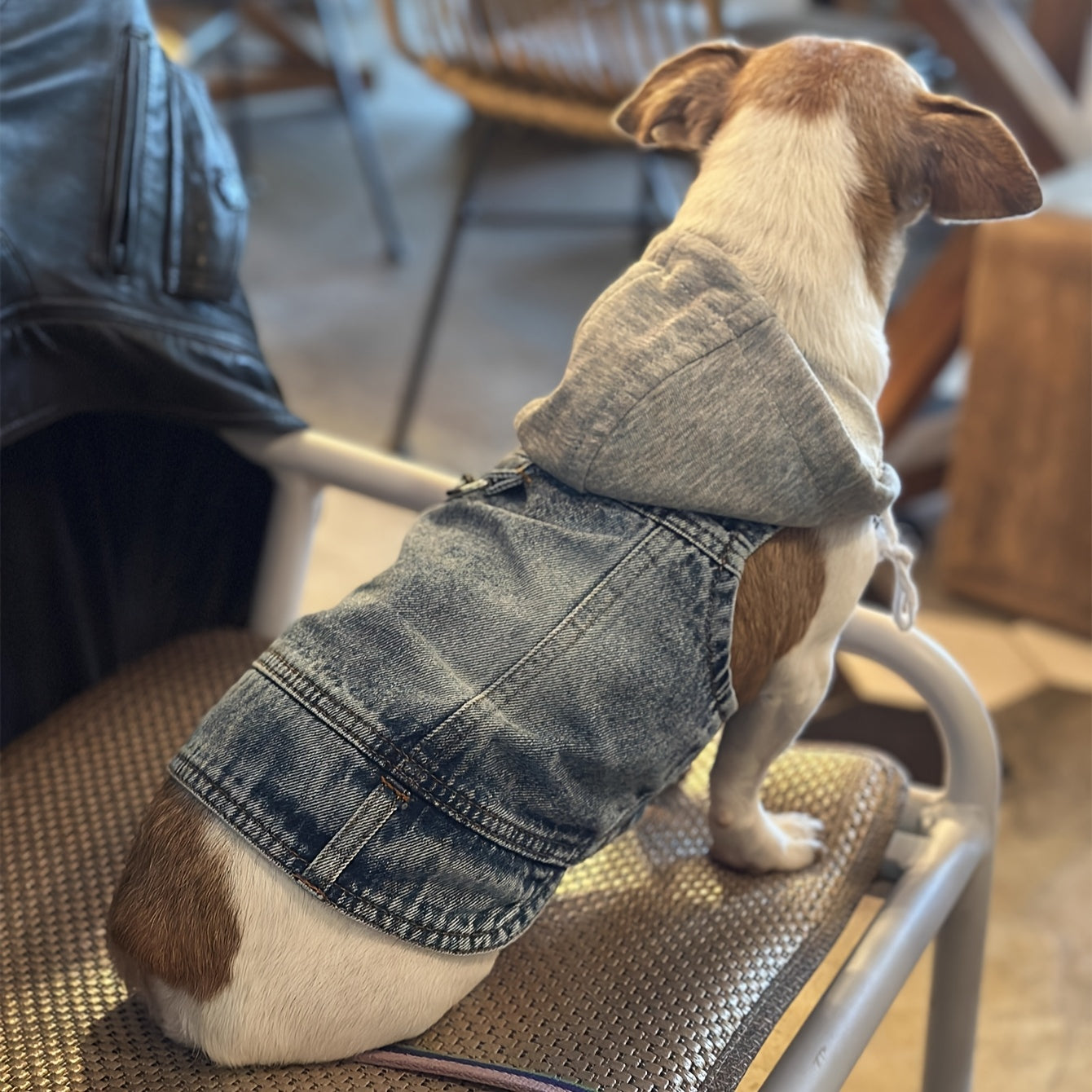 Manteau petit chien | Winter Denim Confort