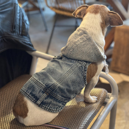 Manteau petit chien | Winter Denim Confort