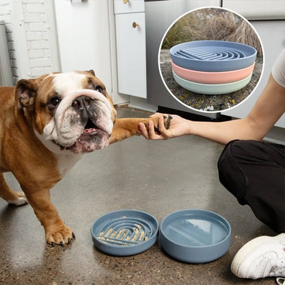 Gamelle anti glouton chien - Suction cup - Le Chihuahua Voyageur