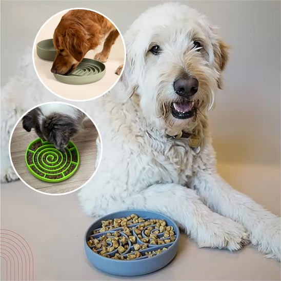 Gamelle anti glouton chien - Suction cup - Le Chihuahua Voyageur