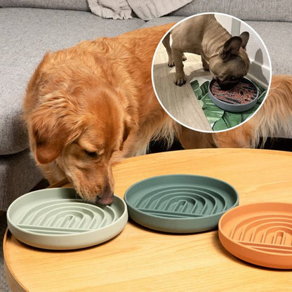 Gamelle anti glouton chien - Suction cup - Le Chihuahua Voyageur