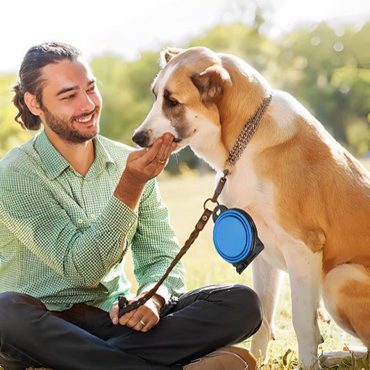 Gamelle chien - Silicone pliable