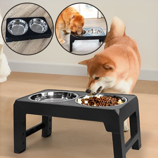 Gamelle chien - Mangeoire REGLABLE - Le Chihuahua Voyageur