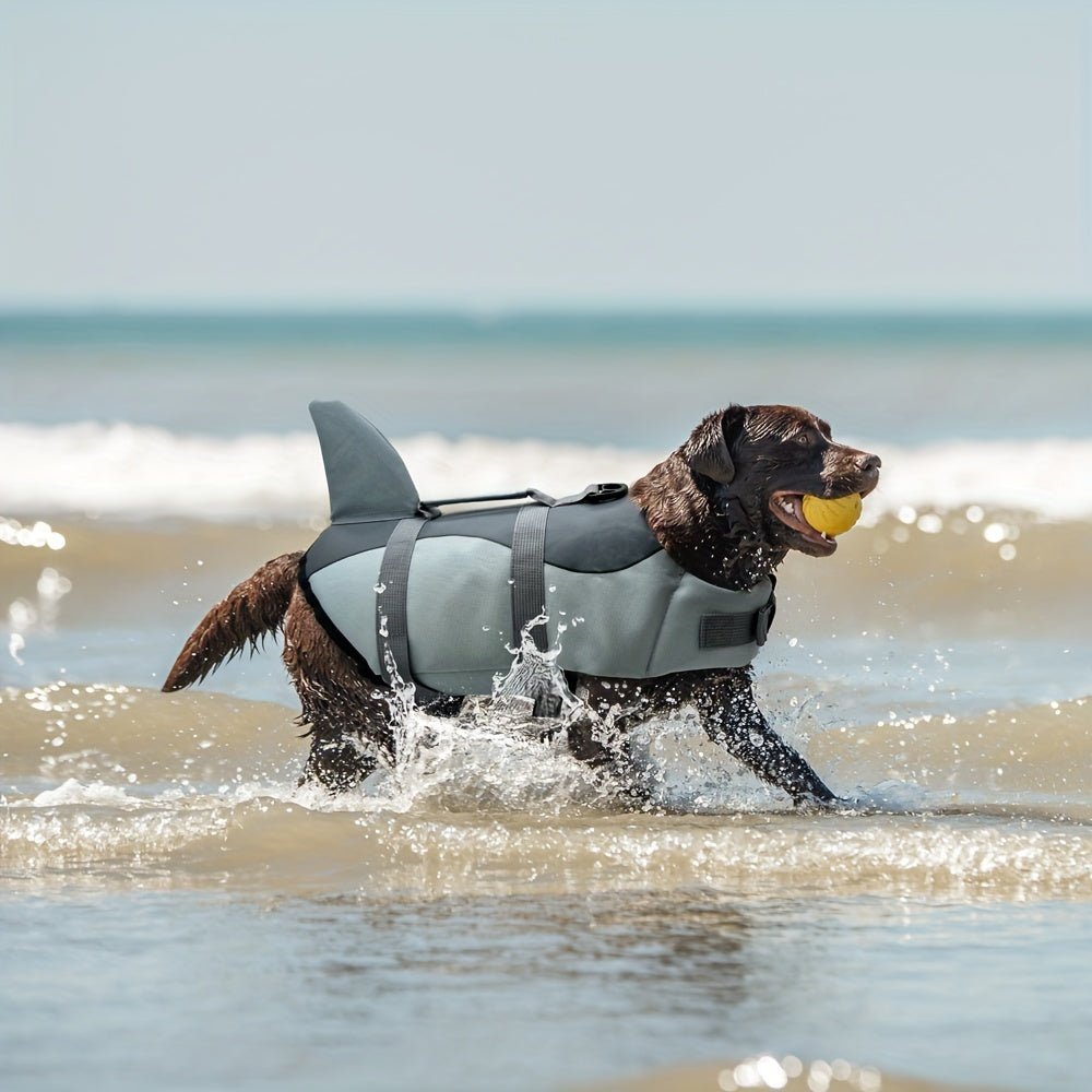 Gilet de sauvetage chiens - Shark Dog Life Jacket - Le Chihuahua Voyageur