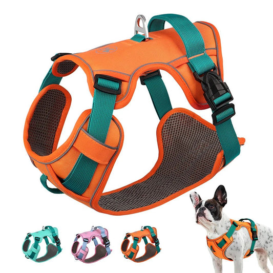 Harnais chien anti traction - Robuste Didog - Le Chihuahua Voyageur
