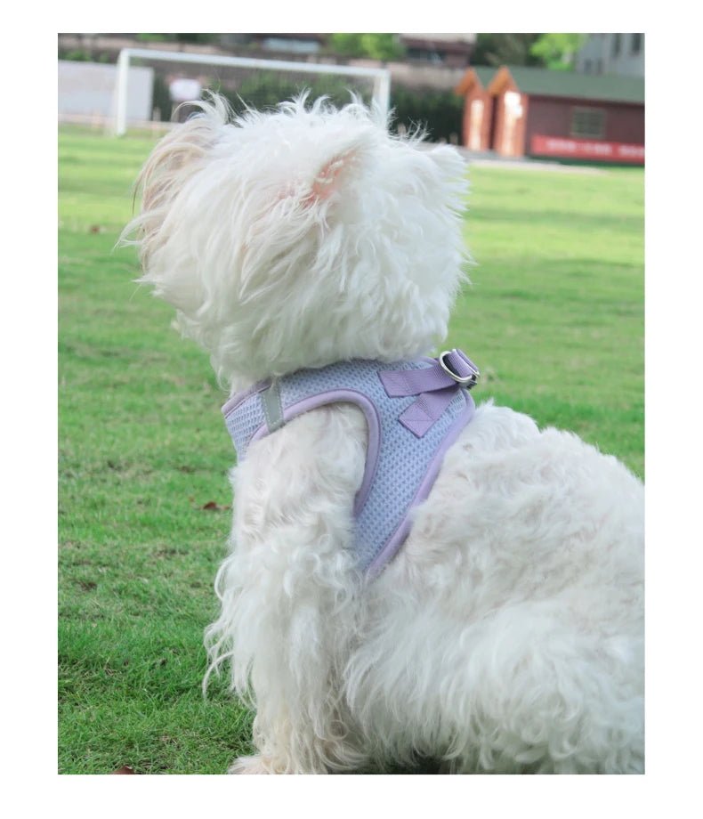 Harnais chien - Breathable Waffle Pet Set - Le Chihuahua Voyageur