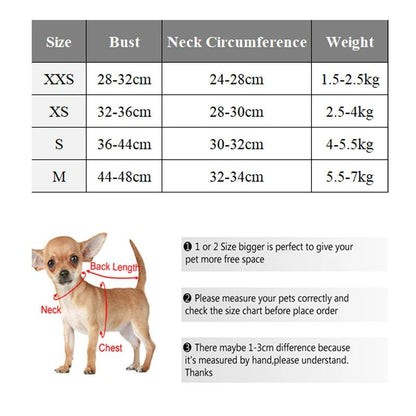 Harnais chien - Pawstrip Set - Le Chihuahua Voyageur
