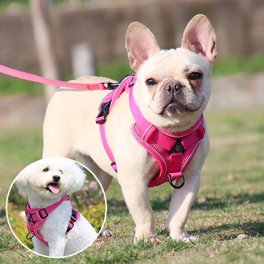 Harnais chien anti traction- PETCUTE
