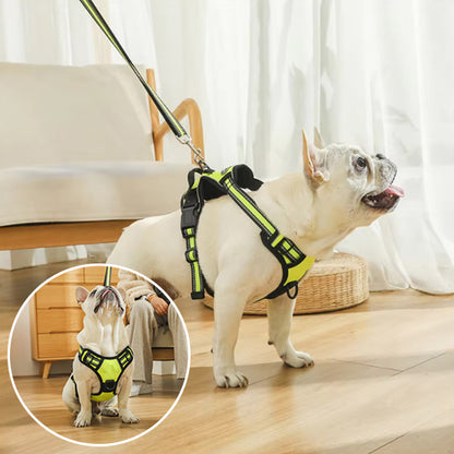 Harnais pour chien- True love