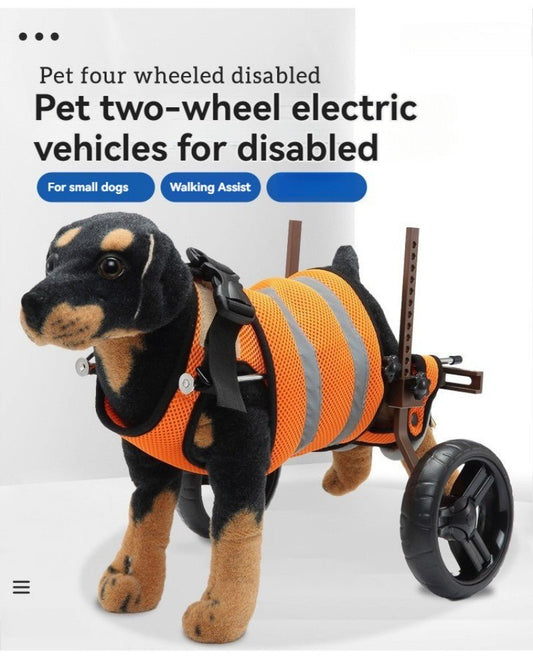 Harnais pour chien - Véhicule d'assistance - Le Chihuahua Voyageur