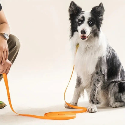 Longe pour chien-PVC imperméable