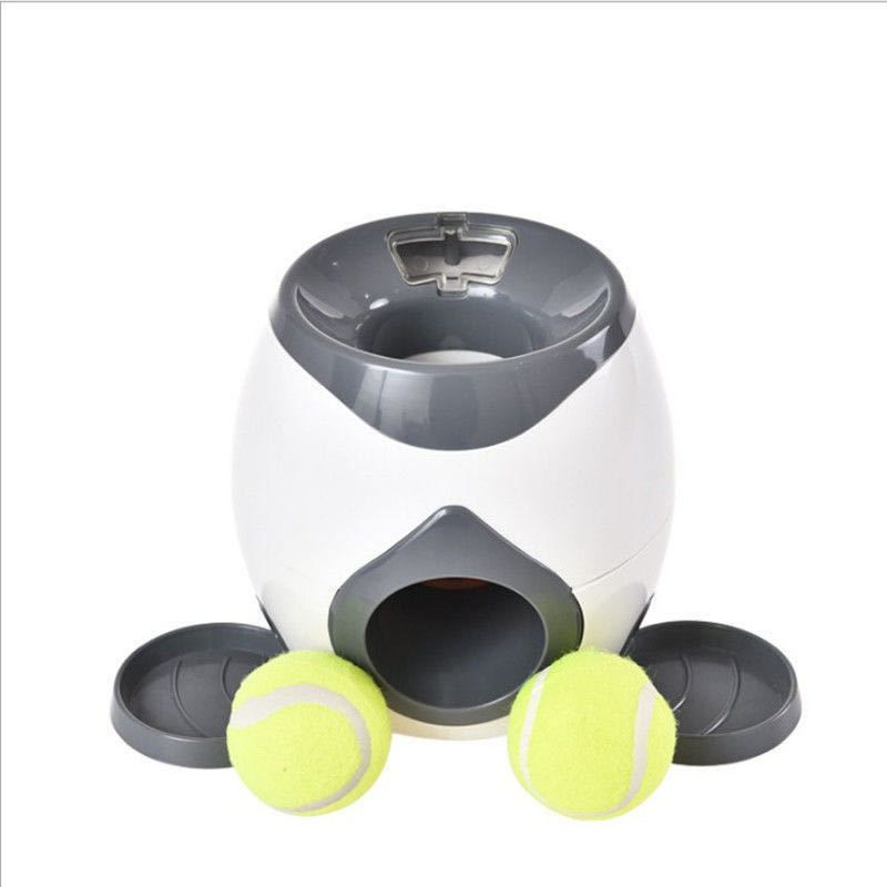 Jouet de tennis pour chien