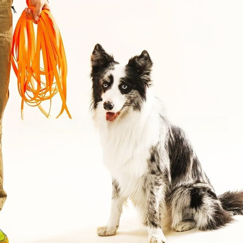Longe pour chien-PVC imperméable