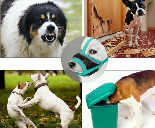 Muselière chien- Total Souplesse en maille* Turquoise