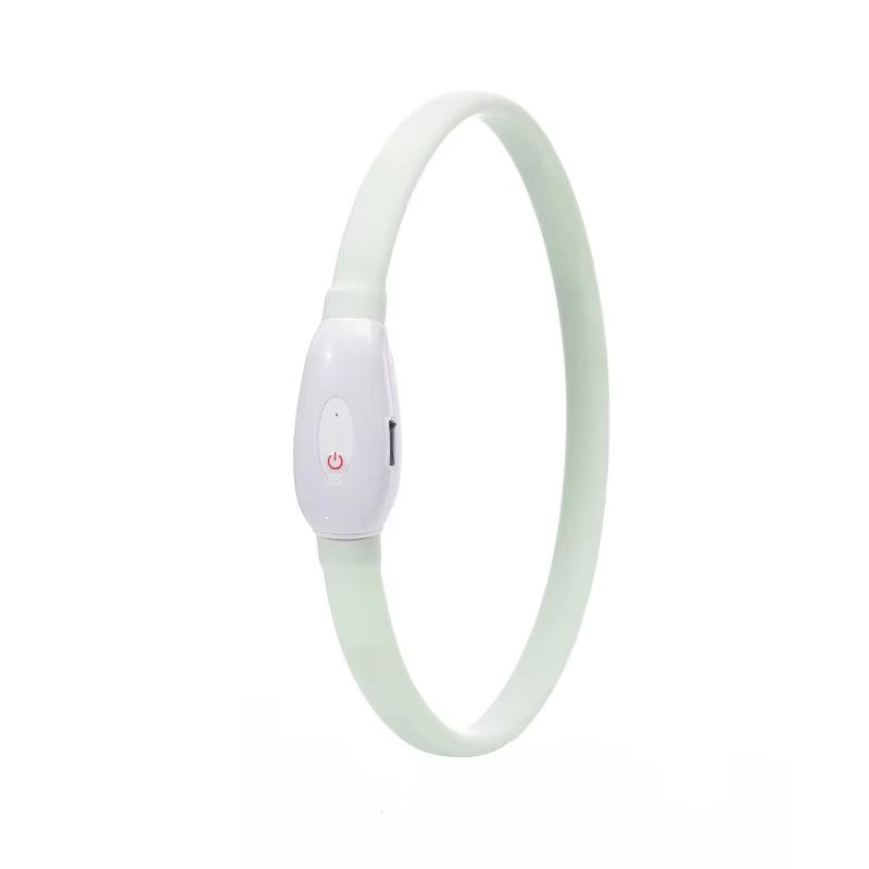 Collier lumineux chien-Led couleur